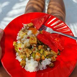 Es gab 4 Tage nichts anderes als Reis mit Gemüse🤓