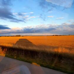 Weites und flaches Land in Südschweden.