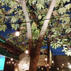 Auch hier gibts einen Irish Pub