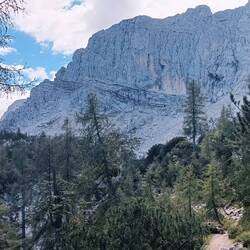 Blick zurück zum Mojstrovka Massiv