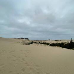 Oregon Dunes NRA