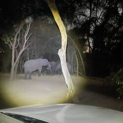 Unser Besuch kam pünktlich aufs Abendessen