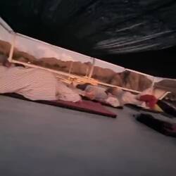 Das erste Mal unter freiem Himmel geschlafen😍🌏