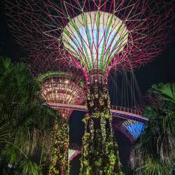 Gardens by the Bay