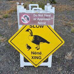 Was gibt's denn hier?