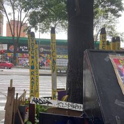 Mindested der hvor Dylan Cruz døde