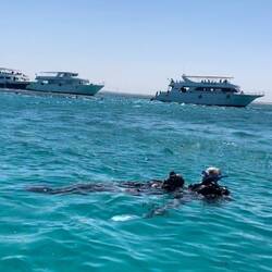 Diver tow training - he was a big dude!