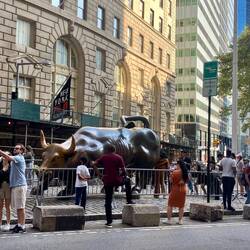The Wall Street bull