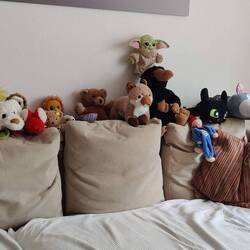 Sofa der Kuscheltiere