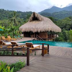 Pool mit Liegen und Bar-Bungalow