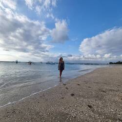 Vom Strand verabschiedet🏝👋