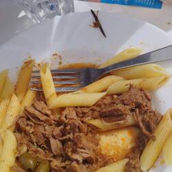 Spécialité Corse : le sauté de veau aux olives