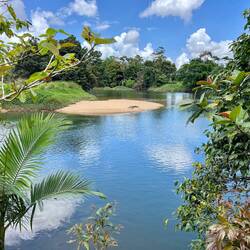 What a spot for a croc to live 😍