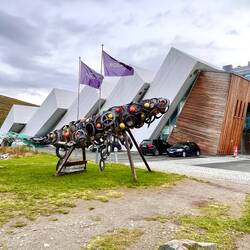 L'aquarium de Tromso