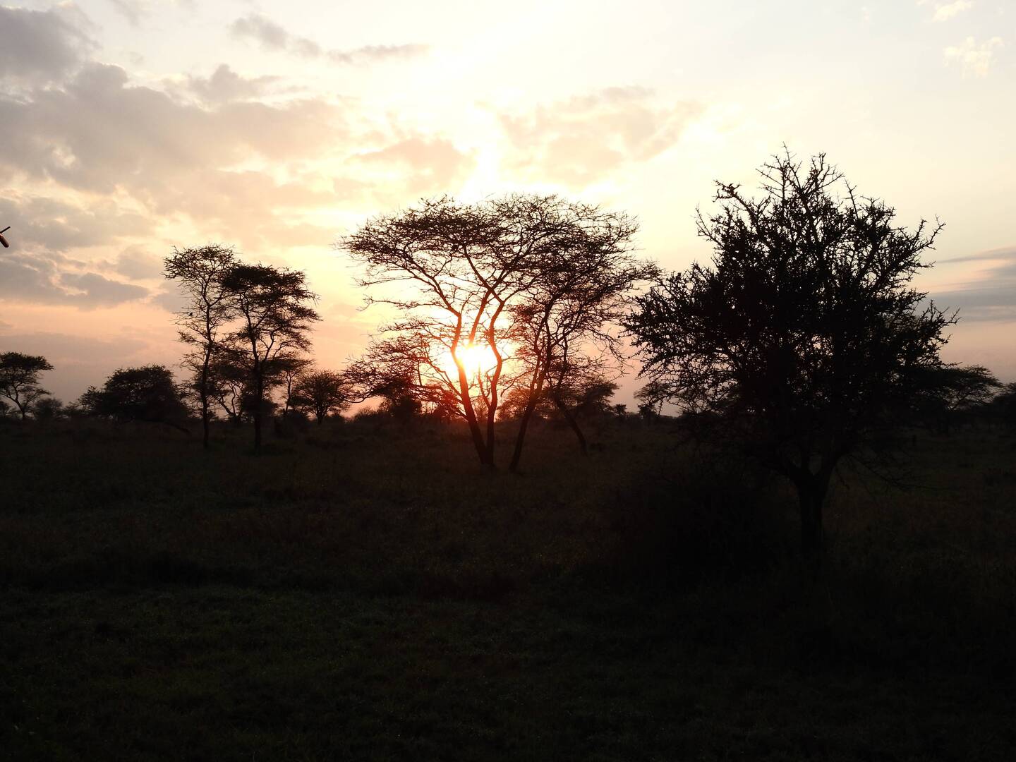 Sonnenaufgang