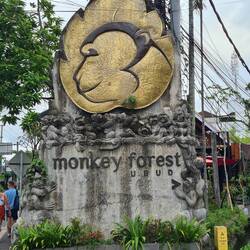 Auf dem Weg zum Monkey Forest