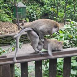 Huch! Nicht ganz jugendfrei 🙈