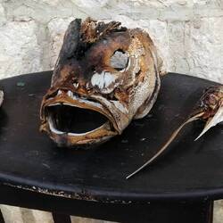Fischköppe...
