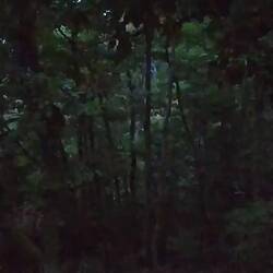 Am Rastplatz (Tag 114)