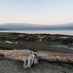 Abendstimmung bei Ebbe