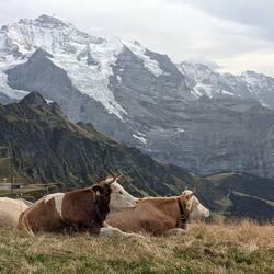 Looks like Wisconsin except for the mountains