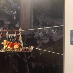 Alot of the museum did not allow photos. This part honoured the rescue dogs