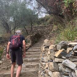 Steps heading up but reasonable