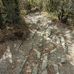 Rocky descent to Zubiri