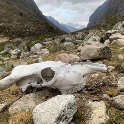 Sowas findet man hier oft🙈