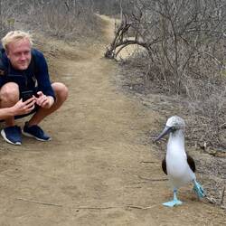Ein Tänzchen für den Paul