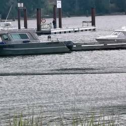 Da entspannt sie die kleine Robbe 😄