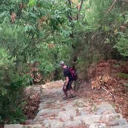 EE route down that disappeared