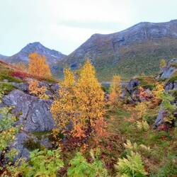 Farbenpracht wie überall zu dieser Jahreszeit 🥰