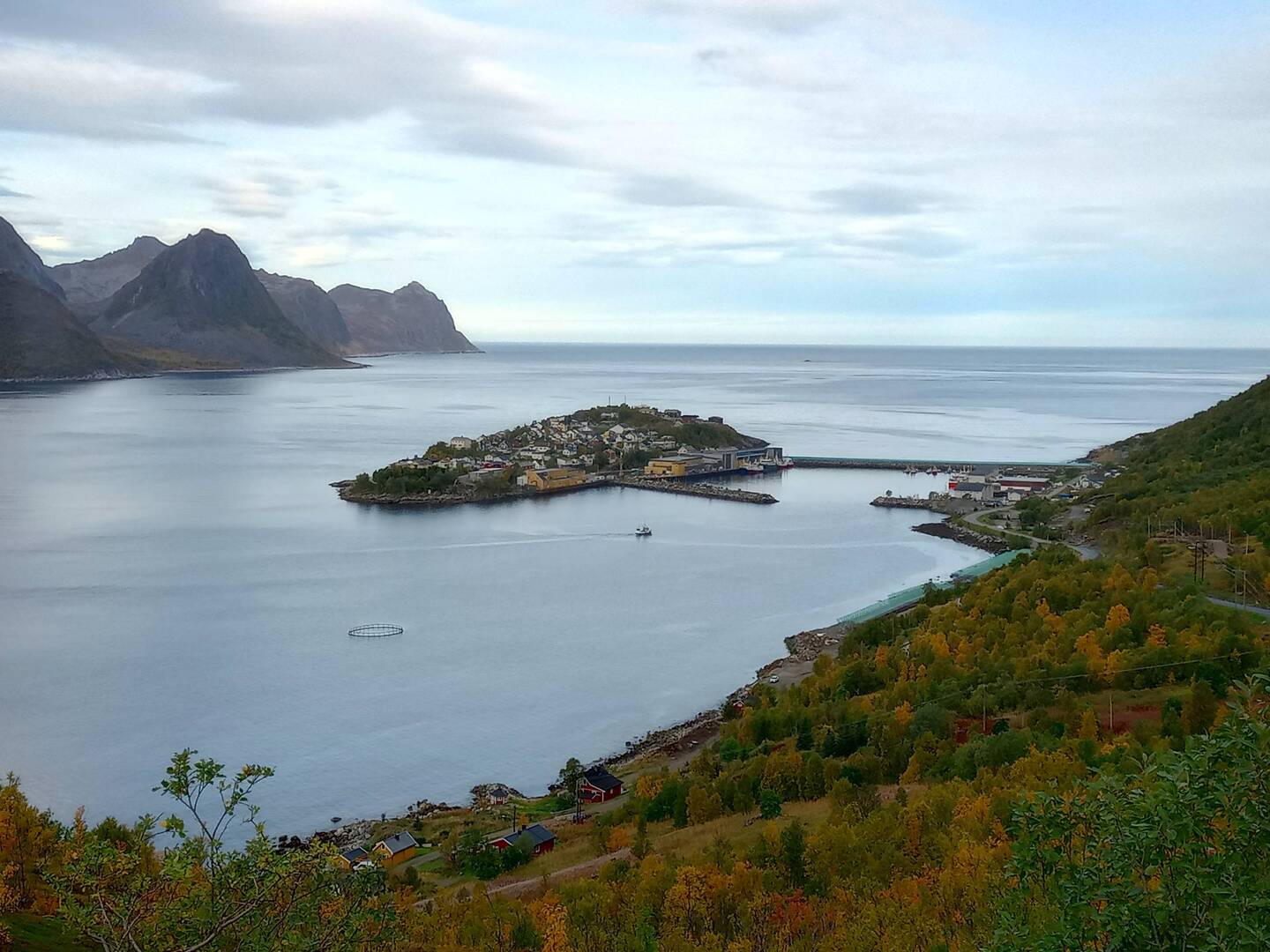 Blick auf die Insel Husøy