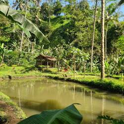 Auf dem Weg zum Wasserfall