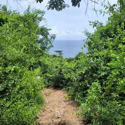 Erster Blick aufs Meer