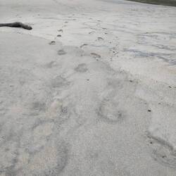 Spuren im Sand