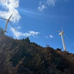 So close I can taste it!