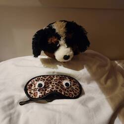 Lu says it's time to sleep now. ❤️