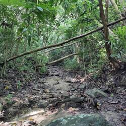 Wanderweg im Flussbett