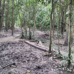 Wo ist der Weg? Ich sehe nur Schlamm