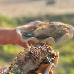 Fresh fish caught by Jarrod, served in his new bowls