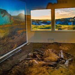 An exposed fossil bed /Ein freigelegtes Fossilienbett