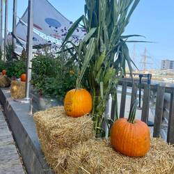 They were putting out halloween stuff already 🙃