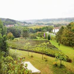 Das untere Lavendelfeld