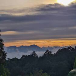 Auf dem Weg nach Hause... 😍