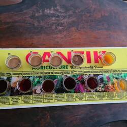 Kaffee- und Tee Tasting ☕🫖