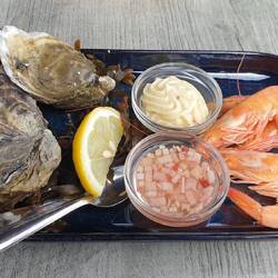 Austern Projekt 🦪