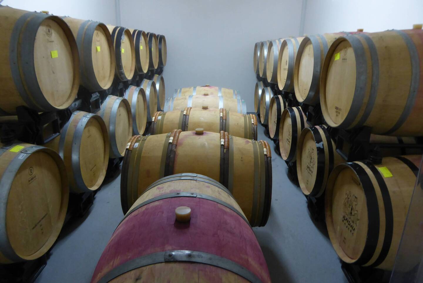 Wine aging in oak barrels