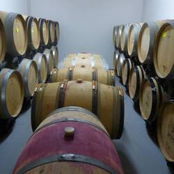 Wine aging in oak barrels